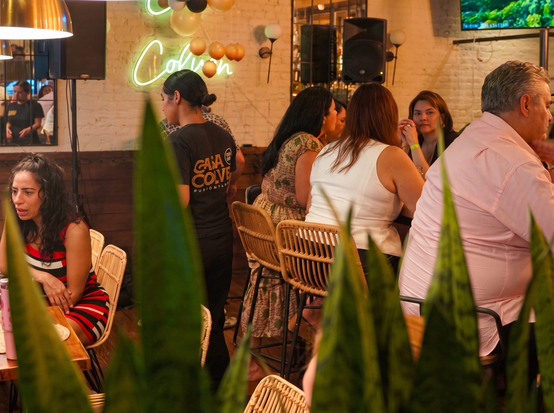 About Casa Colven